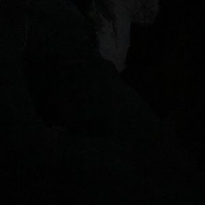 Meet your Posher, Tucker